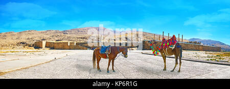 Per salire sul cavallo o cammello vicino alle antiche mura di Persepolis è famosa attrazione turistica, Iran. Foto Stock