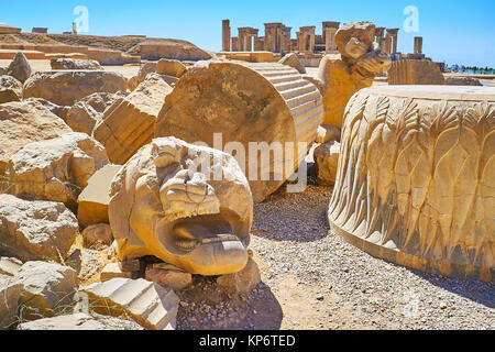 Le rovine di colonne del palazzo Apadana (Audience Hall) con il sito di Tachara (Palazzo d'inverno) sullo sfondo, Persepolis, Iran. Foto Stock