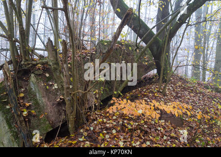 Il resto della vista esplosa WW2 bunker in Germania Foto Stock