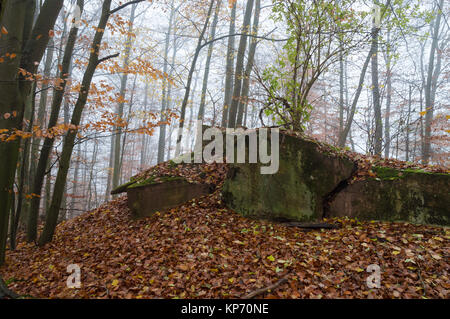 Il resto della vista esplosa WW2 bunker in Germania Foto Stock