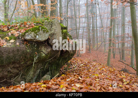 Il resto della vista esplosa WW2 bunker in Germania Foto Stock