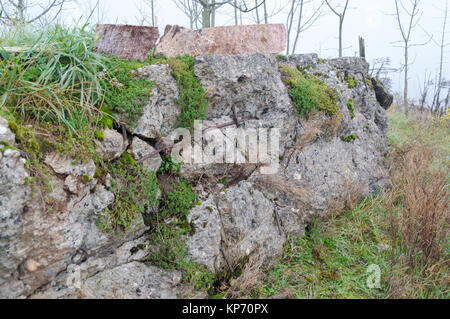 Il resto della vista esplosa WW2 bunker in Germania Foto Stock