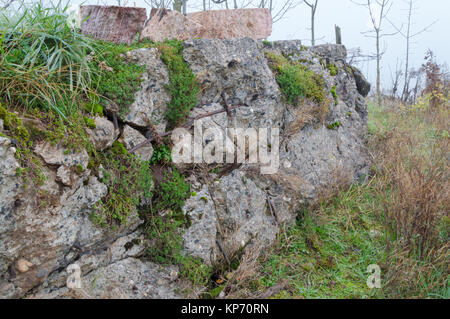 Il resto della vista esplosa WW2 bunker in Germania Foto Stock