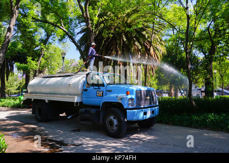 Carrello di irrigazione, il parco di Chapultepec, Città del Messico, Messico Foto Stock