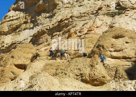 Due escursionisti e un cavaliere sul sentiero sulla scogliera tra chele e Samar, Mustang Superiore regione, Nepal. Foto Stock