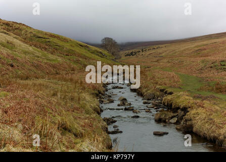 Masterizzazione Bollihope avvolgimento attraverso il fells in Weardale nella Contea di Durham fra la strada di Stanhope e Middleton In Teesdale. Foto Stock