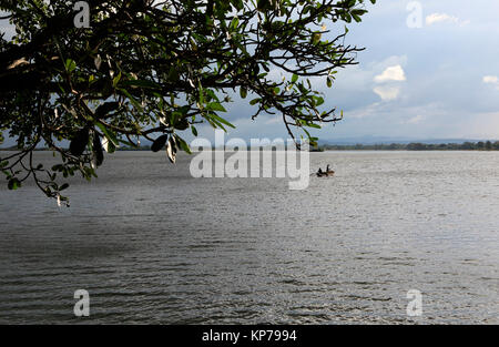 Calma il lago di acqua del serbatoio Polonnaruwa, Nord provincia centrale, Sri Lanka, Asia Foto Stock