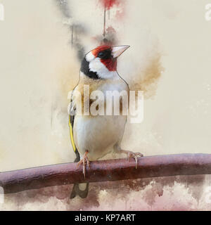 Migliorate digitalmente immagine di un cardellino europeo (Carduelis carduelis) in allevamento del piumaggio a riposo su un ramo. Foto Stock