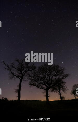 Il cielo di notte in Dicembre da Hampshire Inghilterra Foto Stock