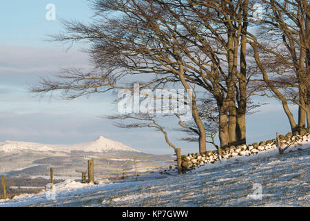 Una vista verso Bennachie su un nevoso inverno mattina Foto Stock