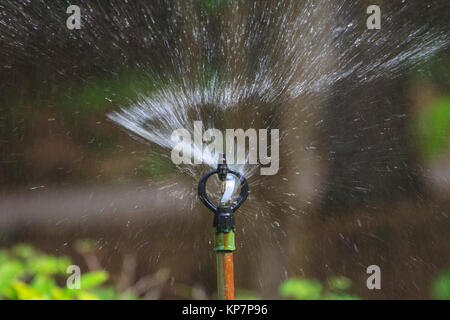 Irrigazione del settore agricolo Foto Stock