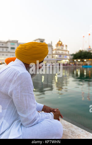 AMRITSAR, India - 20 Marzo 2016: verticale immagine di uomo indiano pregando in Sri Harmandir Sahib, noto come tempio d'Oro, situato in Amritsar Punjab, Foto Stock