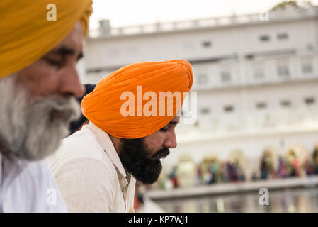 AMRITSAR, India - 20 Marzo 2016: immagine verticale indiana di uomo che indossa turban arancione pregando con gli occhi chiusi in Sri Harmandir Sahib, noto come oro Foto Stock