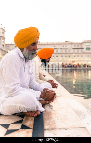 AMRITSAR, India - 20 Marzo 2016: immagine verticale indiana di uomini in preghiera con gli occhi chiusi in Sri Harmandir Sahib, noto come tempio d'oro, che si trova in Foto Stock