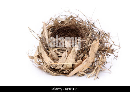 Dettaglio del vuoto bird nest su sfondo bianco Foto Stock