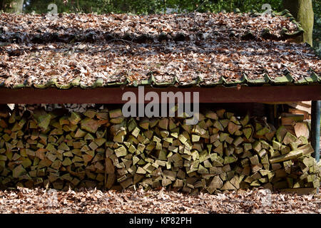 Tritate i registri di fuoco all'aperto di essiccazione Foto Stock