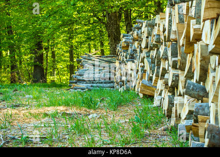 Palo di legno vicino alla foresta verde Foto Stock