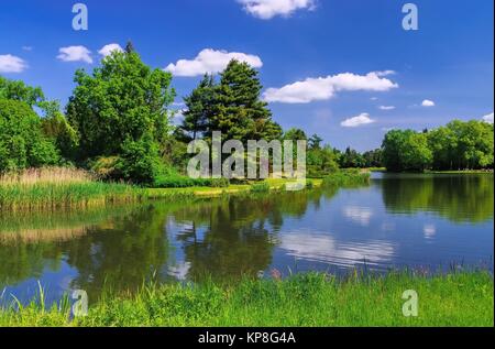 Parco Woerlitzer vedere - Inglese motivi di Woerlitz lago 18 Foto Stock