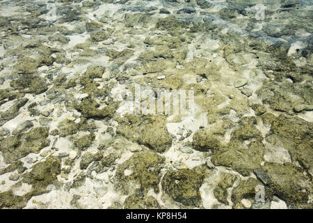 Primo piano della roccia naturale, sabbia chiara e acque del Pacifico sulla costa del mistero Isola, Vanuatu Foto Stock