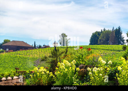 Fiori in Oregon Wine Country Foto Stock