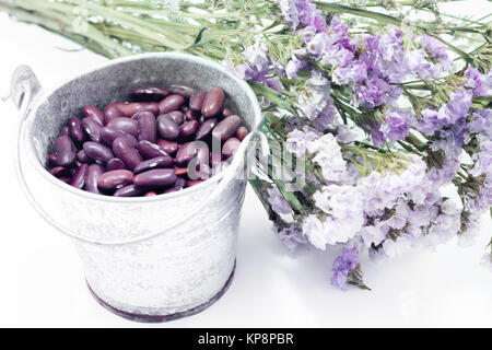 Rosso a fagiolo e fiore statica Foto Stock