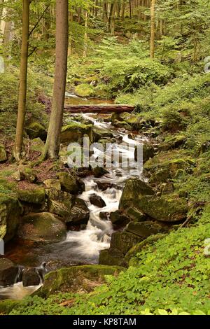 Il fiume Ilse vicino Ilsenburg nel Parco Nazionale di Harz, ai piedi del Brocken Foto Stock