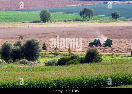 Scena rurale Foto Stock