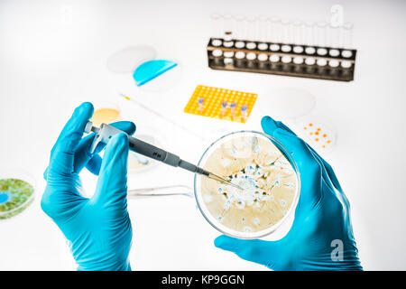 Neurone in una capsula di petri che illustra la ricerca nel morbo di Alzheimer e di altre patologie cerebrali. Foto Stock