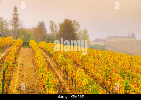 Vigneti delle Langhe piemontesi in autunno, Italia Foto Stock