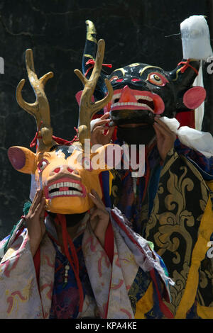 I monaci buddisti in maschere rituali Cervo giallo e blu Yak eseguono la danza di Tsam durante il mistero tibetano, l'Himalaya. Foto Stock