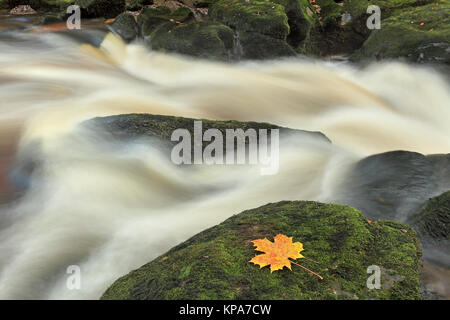 L 'hotel Astrid, una sezione molto ristretta del fiume Wharfe vicino a Bolton Abbey nel Yorkshire Dales National Park, North Yorkshire, Regno Unito Foto Stock