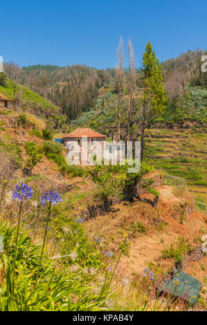 Levada sentiero a piedi a est di Madeira - levada dos tornos - in camacha in montagna con vacante case fatiscenti e rotto campi terrazzati. Foto Stock