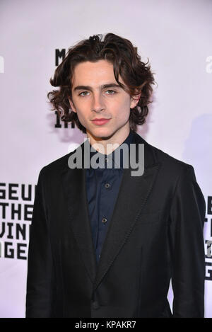 New York, Stati Uniti d'America. 13 dicembre, 2017. Timothee Chalamet assiste il Museo dell'immagine in movimento omaggio a Annette Bening a 583 Park Avenue su dicembre 13, 2017 in New York City. Credito: Erik Pendzich/Alamy Live News Foto Stock