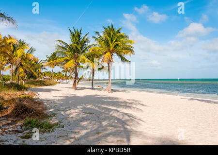 Sabbia bianca spiaggia Smathers con palme, Key West, Florida Foto Stock