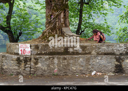 Donna locale pregando sotto un sacro fig tree in Pokhara, Nepal. Foto Stock