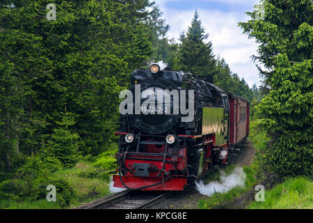 Treno a vapore Equitazione il Brocken ferrovia a scartamento ridotto linea presso il Parco Nazionale di Harz, Sassonia-Anhalt, Germania Foto Stock