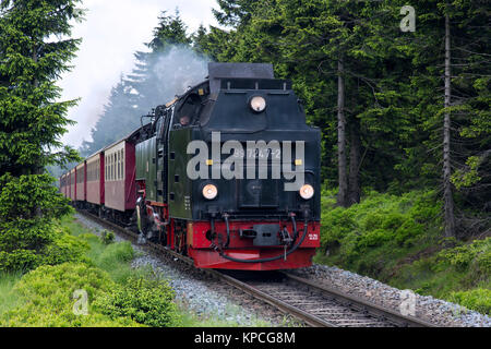 Treno a vapore Equitazione il Brocken ferrovia a scartamento ridotto linea presso il Parco Nazionale di Harz, Sassonia-Anhalt, Germania Foto Stock