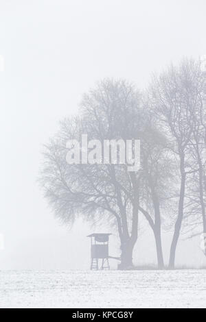 Nascondi sollevata sotto agli alberi in coperta di neve in campo la nebbia in inverno Foto Stock