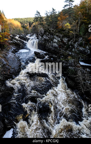 Cade di Rogie vicino Garve sulla A385 (Ullapool/Inverness road) nel nord-ovest della Scozia, Gran Bretagna. Foto Stock