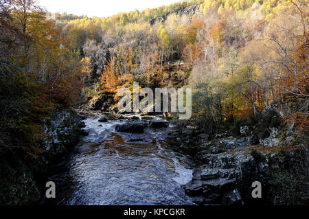 Cade di Rogie vicino Garve sulla A385 (Ullapool/Inverness Road) a nord-ovest della Scozia Foto Stock