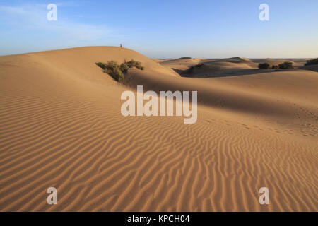 Maspalomas dune di sabbia, Playa del Inglés resort per vacanze isole Canarie di Gran Canaria,isola spagnola, al largo della costa del nord Africa occidentale dicembre 2017 Foto Stock