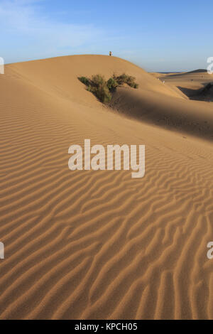 Maspalomas dune di sabbia, Playa del Inglés resort per vacanze isole Canarie di Gran Canaria,isola spagnola, al largo della costa del nord Africa occidentale dicembre 2017 Foto Stock