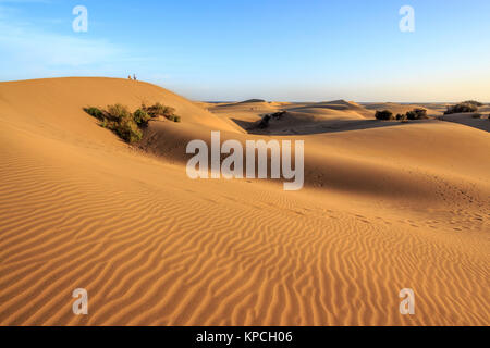 Maspalomas dune di sabbia, Playa del Inglés resort per vacanze isole Canarie di Gran Canaria,isola spagnola, al largo della costa del nord Africa occidentale dicembre 2017 Foto Stock