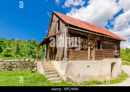 Antica casa rurale in vigneti nelle vicinanze Crnomelj in Bela krajina (bianco Carniola) regione in Slovenia, l'Europa. Foto Stock