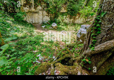 Mithraic temple (Mitreo II secolo) situato nel bosco di castagni sopra Rozanec, Bela Krajina (bianco Carniola) regione, la Slovenia, l'Europa. Foto Stock