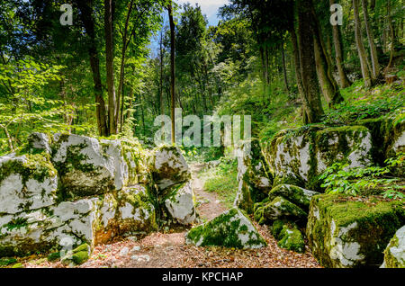 Mithraic temple (Mitreo II secolo) situato nel bosco di castagni sopra Rozanec, Bela Krajina (bianco Carniola) regione, la Slovenia, l'Europa. Foto Stock