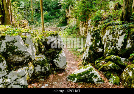 Mithraic temple (Mitreo II secolo) situato nel bosco di castagni sopra Rozanec, Bela Krajina (bianco Carniola) regione, la Slovenia, l'Europa. Foto Stock