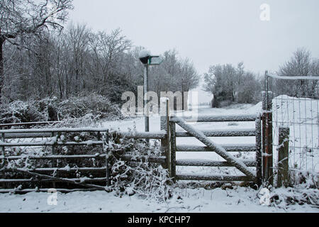 Dicembre snow-caduta su una briglia vie in Iver Heath, Buckinghamshire. Foto Stock