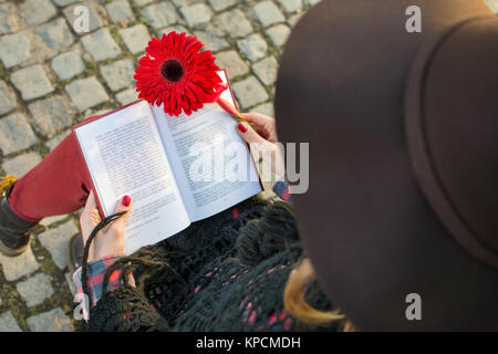 Bruna ragazza con un libro e rosso gerbera Foto Stock