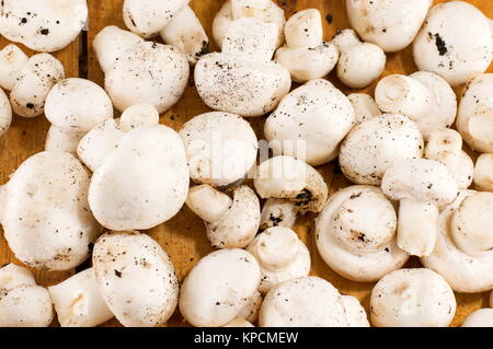 Funghi su un tavolo di legno Foto Stock